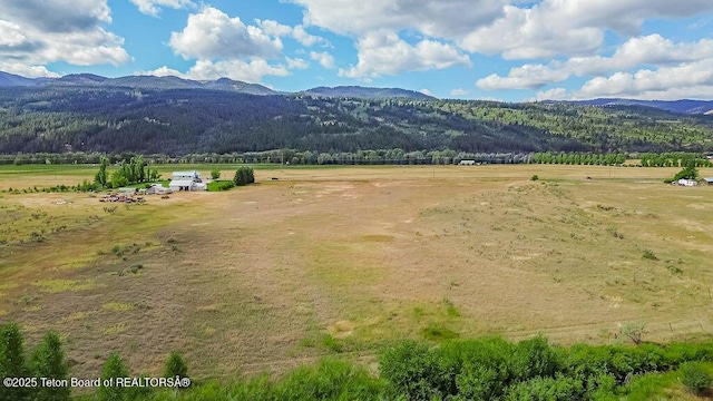 TBD Swan Valley Highway, Irwin, ID 83428 - photo 6