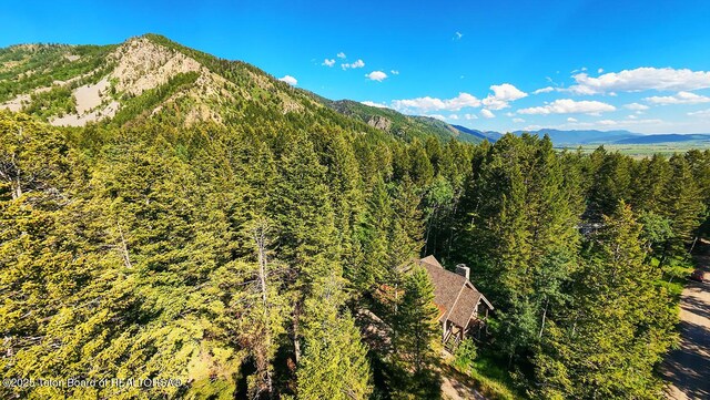 172 Spurwood Dr, Star Valley Ranch, WY 83127 - photo 42