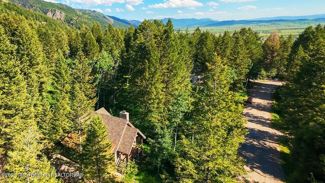 172 Spurwood Dr, Star Valley Ranch, WY 83127 - photo 43