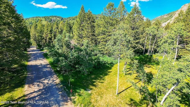 172 Spurwood Dr, Star Valley Ranch, WY 83127 - photo 40