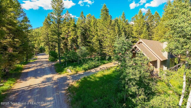 172 Spurwood Dr, Star Valley Ranch, WY 83127 - photo 39