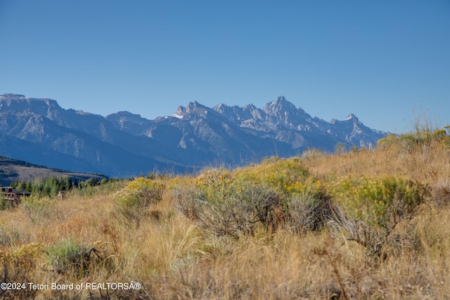 1265 N Lower Ridge Rd, Jackson, WY 83001