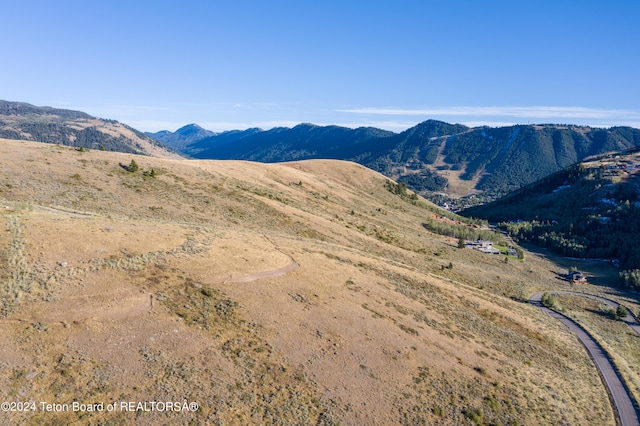 1265 N Lower Ridge Rd, Jackson, WY 83001