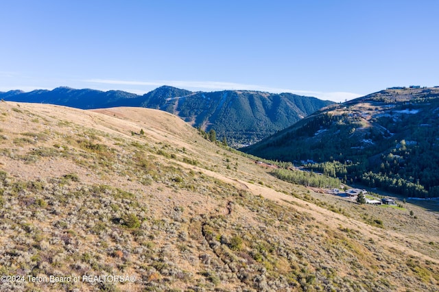 1265 N Lower Ridge Rd, Jackson, WY 83001