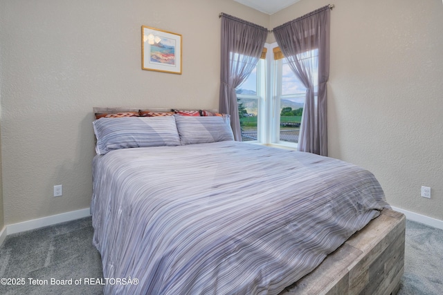 3139 Swan Valley Hwy, Swan Valley, ID 83449 - bedroom with carpet flooring and a textured wall