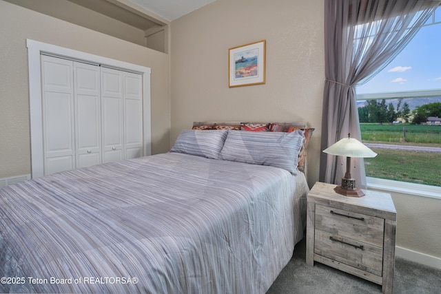 3139 Swan Valley Hwy, Swan Valley, ID 83449 - bedroom featuring a closet