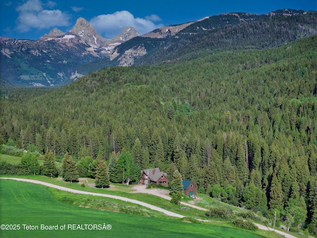 475 E Alta Ski Hill Rd, Alta, WY 83414 - photo 4