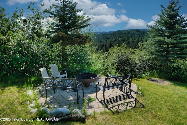 475 E Alta Ski Hill Rd, Alta, WY 83414 - photo 49