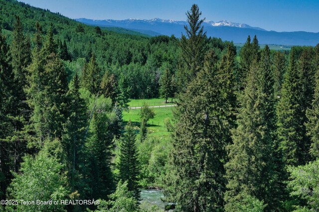 475 E Alta Ski Hill Rd, Alta, WY 83414 - photo 52