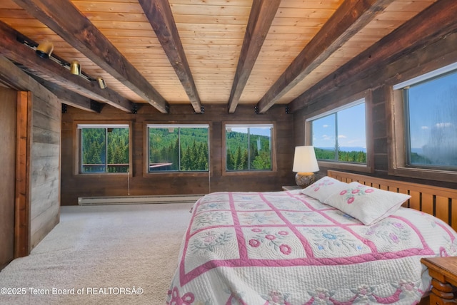 475 E Alta Ski Hill Rd, Alta, WY 83414 - photo 33