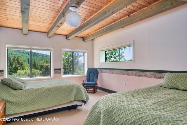 475 E Alta Ski Hill Rd, Alta, WY 83414 - photo 38