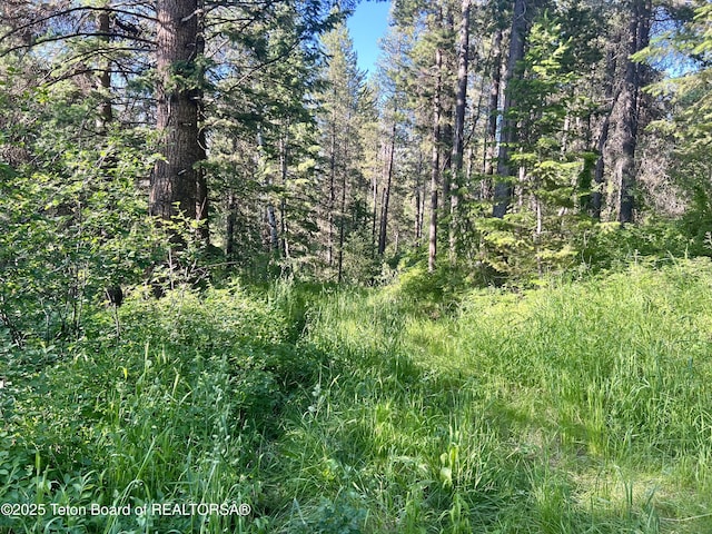 190 Wolverine Way, Tetonia, ID 83452