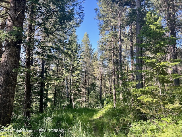 190 Wolverine Way, Tetonia, ID 83452