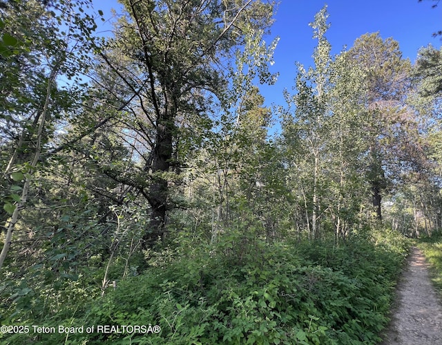 190 Wolverine Way, Tetonia, ID 83452