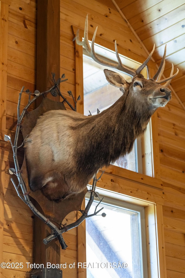 1802 Dusty Trl, Auburn, WY 83111 - detailed view of wood walls and wooden ceiling
