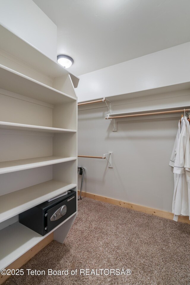 1802 Dusty Trl, Auburn, WY 83111 - spacious closet with carpet floors
