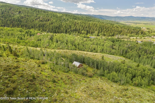 4821 S 2000 E, Victor, ID 83455 - mountain view with a heavily wooded area
