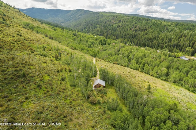 4821 S 2000 E, Victor, ID 83455 - bird's eye view of a forest and a mountain backdrop