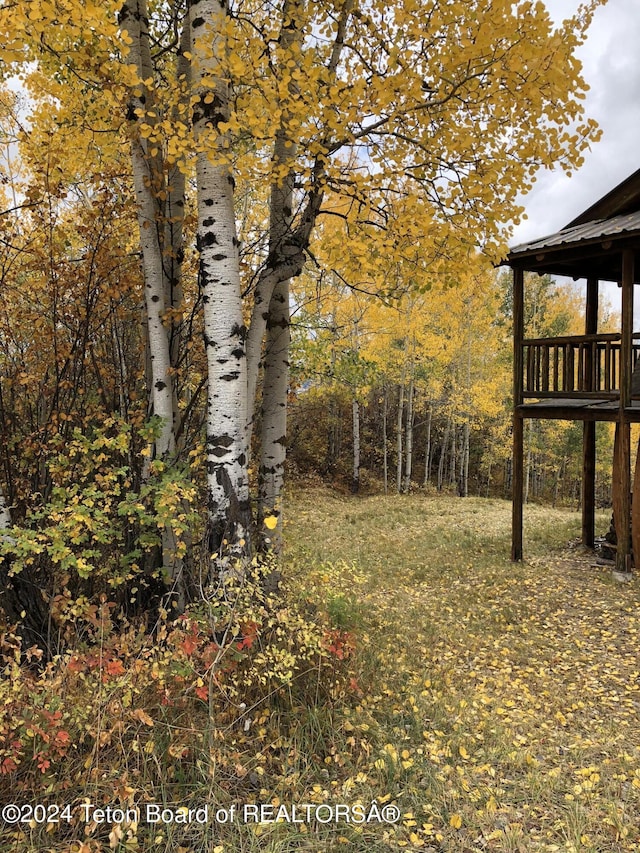 4821 S 2000 E, Victor, ID 83455 - view of yard