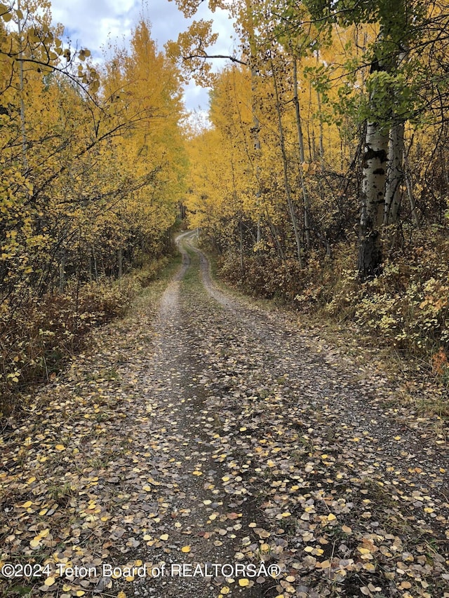 4821 S 2000 E, Victor, ID 83455 - view of road featuring a view of trees