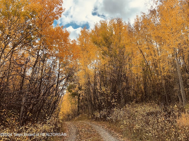 4821 S 2000 E, Victor, ID 83455 - view of woods