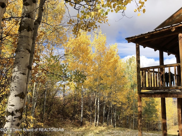 4821 S 2000 E, Victor, ID 83455 - view of yard