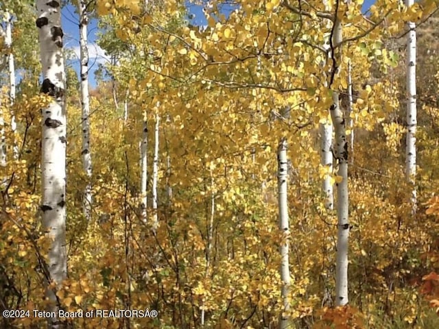 4821 S 2000 E, Victor, ID 83455 - view of nature