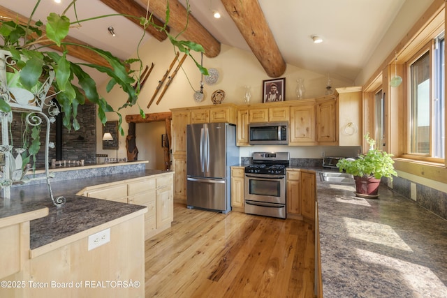 73657339 Summer Breeze Trl, Tetonia, ID 83452 - kitchen with stainless steel appliances, light wood-type flooring, dark countertops, and light brown cabinets