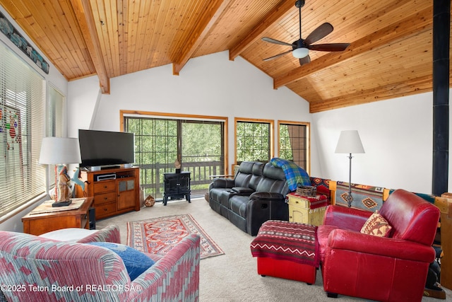 56 Vis E Dr, Star Valley Ranch, WY 83127 - photo 15