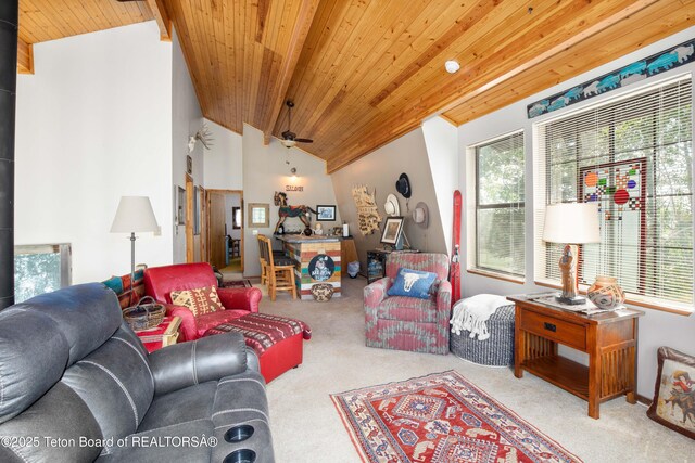 56 Vis E Dr, Star Valley Ranch, WY 83127 - photo 14