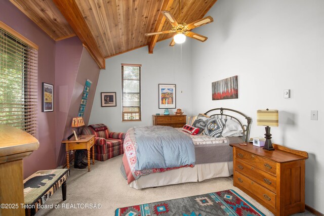 56 Vis E Dr, Star Valley Ranch, WY 83127 - photo 19