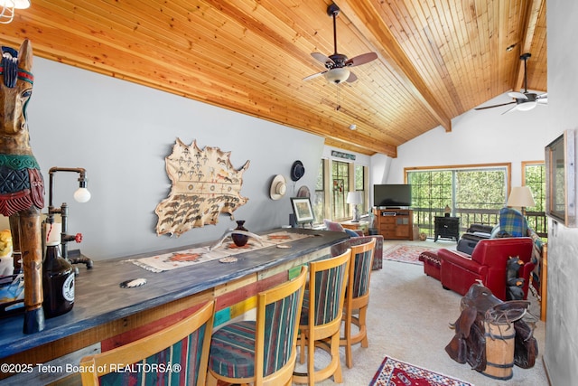 56 Vis E Dr, Star Valley Ranch, WY 83127 - photo 13