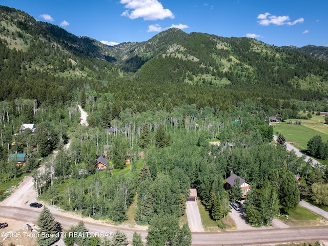 56 Vis E Dr, Star Valley Ranch, WY 83127 - photo 32