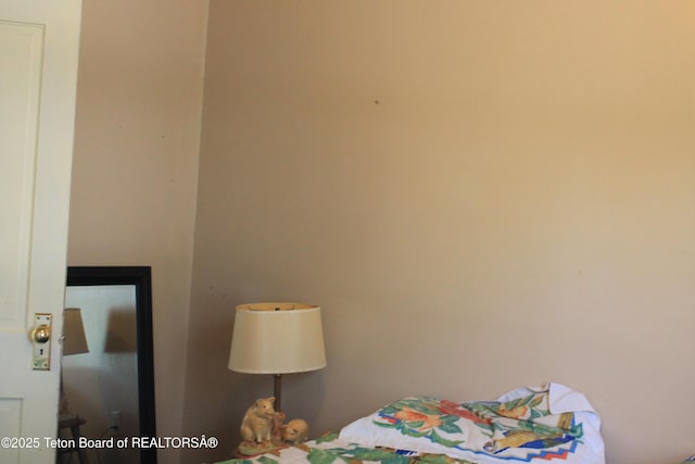 216 E Birch St, Labarge, WY 83123 - view of bedroom