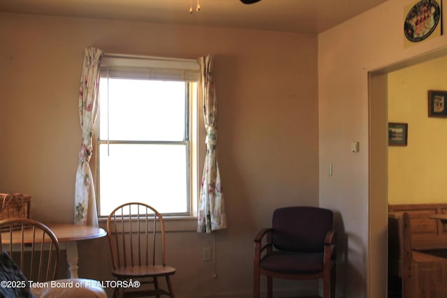 216 E Birch St, Labarge, WY 83123 - living area with ceiling fan