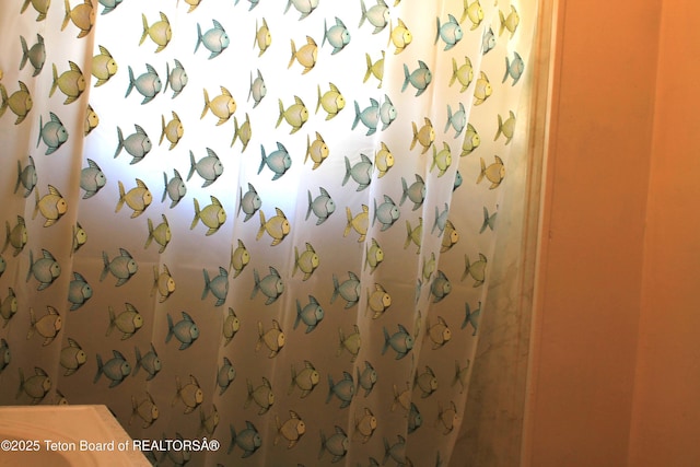 216 E Birch St, Labarge, WY 83123 - full bathroom with curtained shower