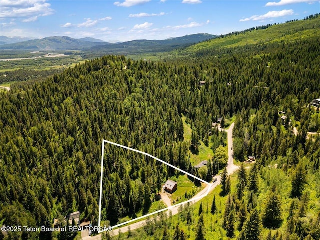 6250 W Paintbrush Trl, Wilson, WY 83014 - aerial view of property's location with property boundaries highlighted
