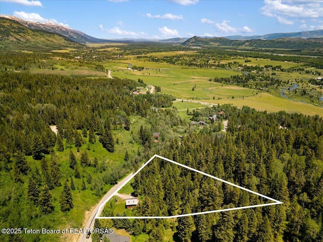 6250 W Paintbrush Trl, Wilson, WY 83014 - view of property location featuring a mountainous background and property boundaries highlighted