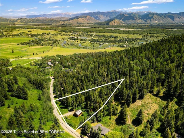 6250 W Paintbrush Trl, Wilson, WY 83014 - aerial overview of property's location with property boundaries highlighted and mountains