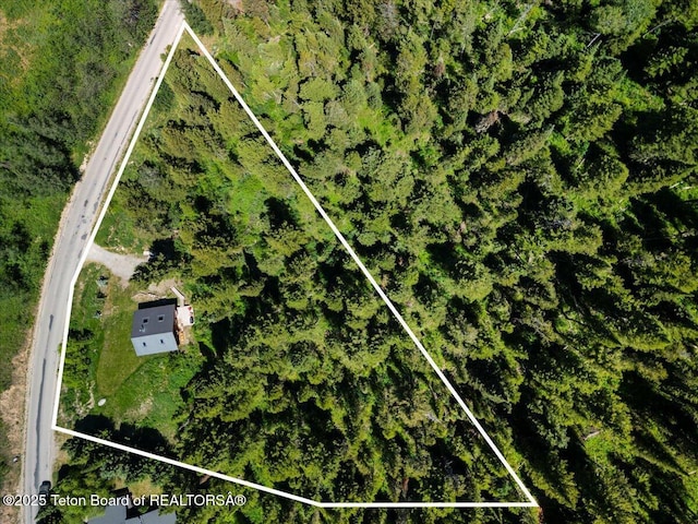 6250 W Paintbrush Trl, Wilson, WY 83014 - aerial overview of property's location with property boundaries highlighted