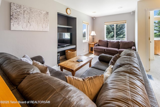 910 Powder Valley Rd Unit 20, Driggs, ID 83422 - living room with carpet, healthy amount of natural light, and built in features