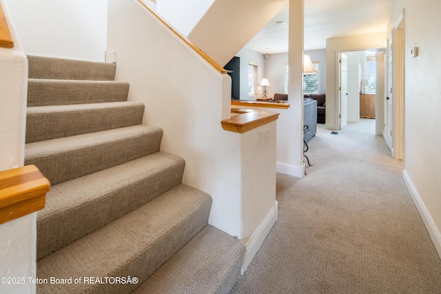 910 Powder Valley Rd Unit 20, Driggs, ID 83422 - stairs featuring carpet and baseboards