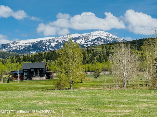 21 Rammell Rd, Victor, ID 83455