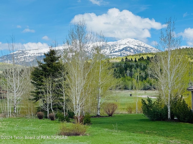 21 Rammell Rd, Victor, ID 83455