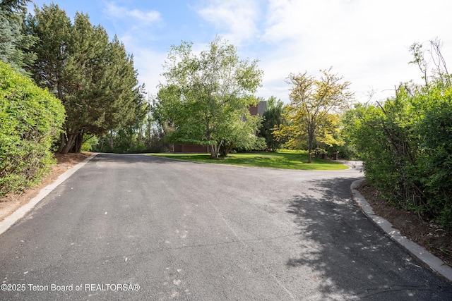 4976 S 49th, Idaho Falls, ID 83406 - view of asphalt road
