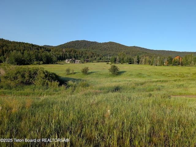 57 Warm Creek Ln, Victor, ID 83455 - photo 1