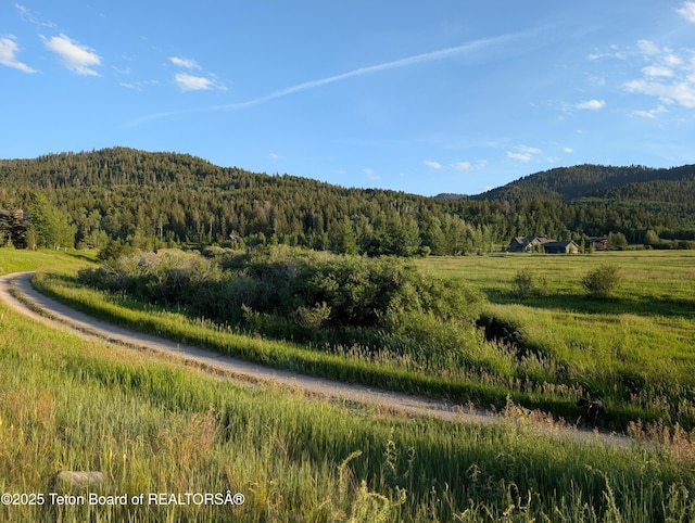 57 Warm Creek Ln, Victor, ID 83455 - photo 2