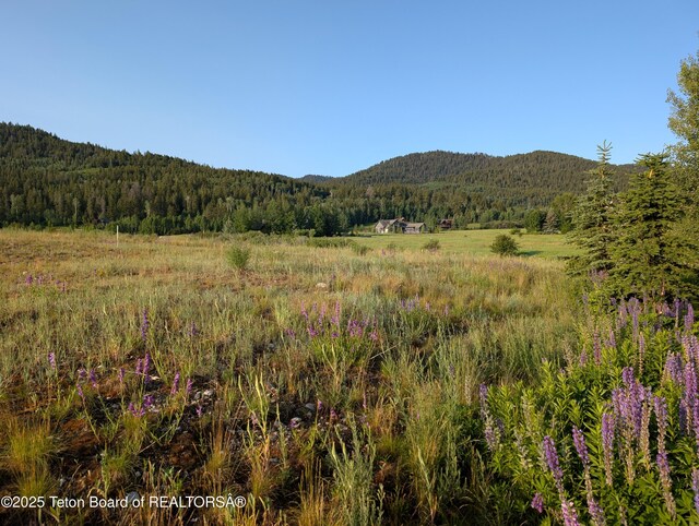 57 Warm Creek Ln, Victor, ID 83455 - photo 3