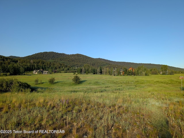 57 Warm Creek Ln, Victor, ID 83455 - photo 4