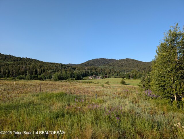 57 Warm Creek Ln, Victor, ID 83455 - photo 6